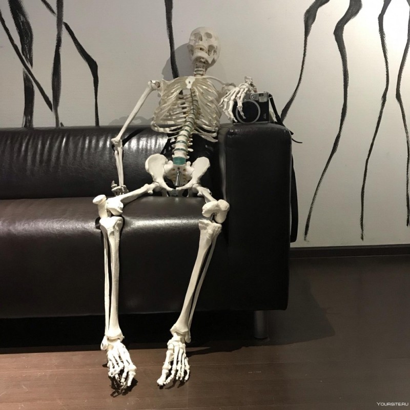 Create meme: the skeleton in the chair, a skeleton on a chair, human skeleton layout