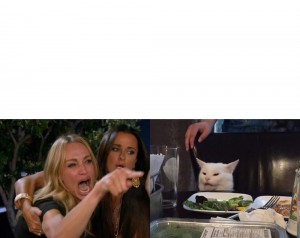 Create meme: the meme with the cat at the table and girls, cat, the meme with the cat and the girls