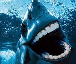 Создать мем: акула с человеческими зубами, акула живая, акула пасть