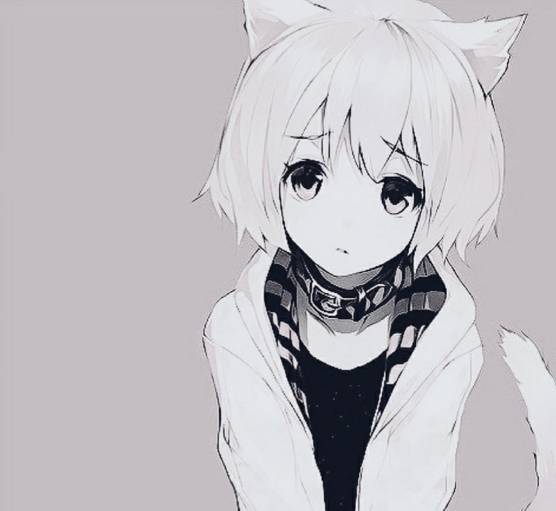Create meme: anime neko, girl with ears black and white, cute anime