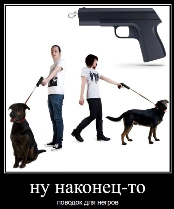 Создать мем: собака, собака с пистолетом, прикол