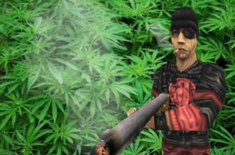 Create meme: people , marijuana GTA 5, samp drugs