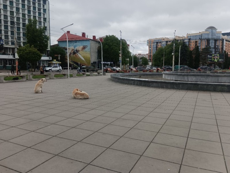 Создать мем: фонтан на площади, памятник нерпе в иркутске, здание