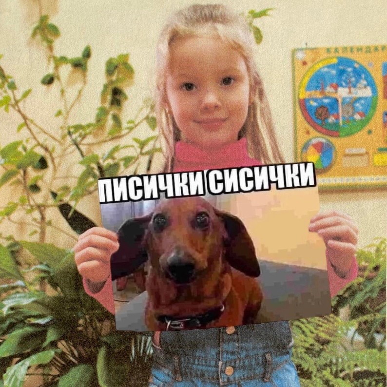 Create meme: Dachshund meme, red dog , dog 