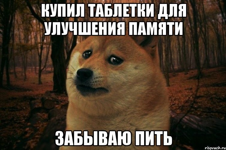 Создать мем: мемы с надписями, собака мем, грустная собака мем