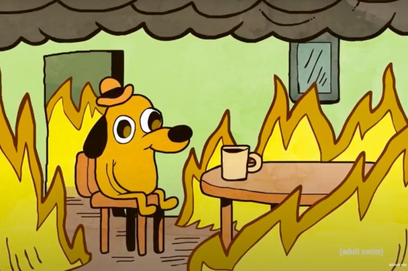 Create meme: a dog in a fire meme, meme dog in a burning house, dog in the burning house