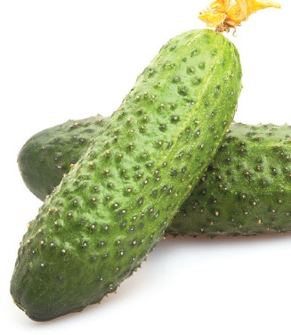 Create meme: cucumber , vegetable cucumber, cucumber herman f1