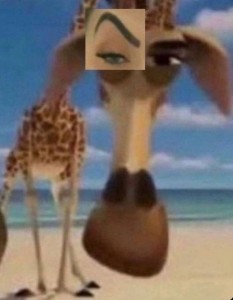 Create meme: Madagascar 3, Melman, Madagascar