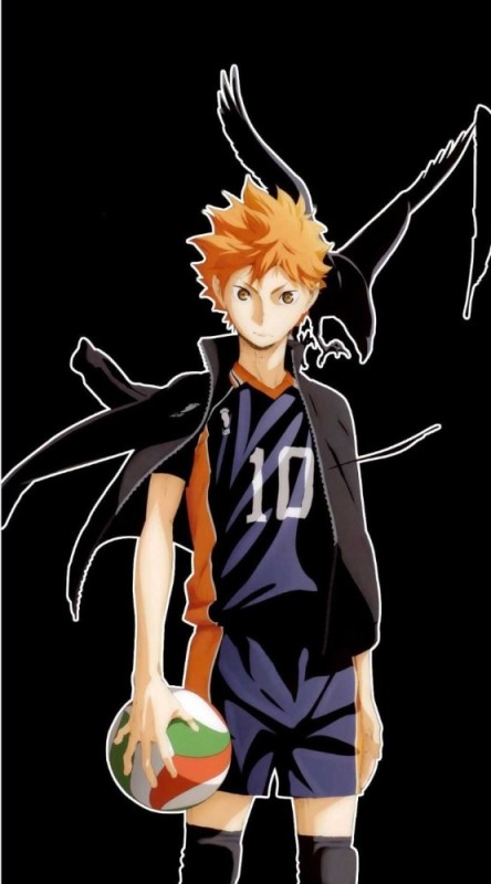 Create meme: anime volleyball haikyu, haikyuu hinata shoyo, anime volleyball