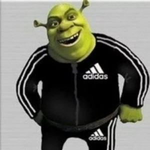 Create meme: Shrek, Shrek adidas, Shrek in Adidas