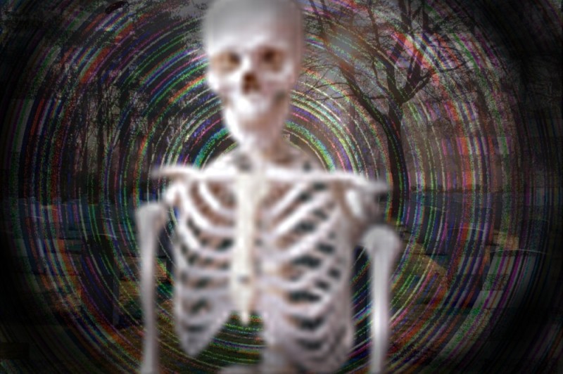 Создать мем: скелет головы, человеческий скелет, скелет кости человека