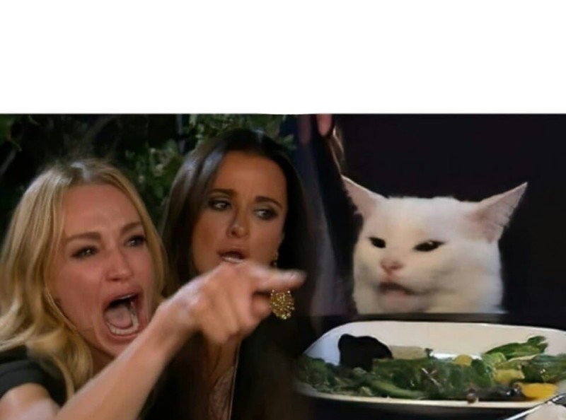 Create meme: memes with two girls and a cat, girls and cat meme, cat meme 