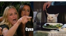 Create meme: a woman yells at a cat meme, meme with screaming woman and a cat, memes with cats