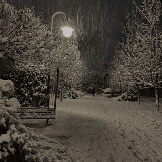 Create meme: winter park at night, snow-covered park at night, winter night