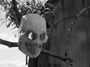 Создать мем: the lost skeleton of cadavra, темнота, человеческий череп