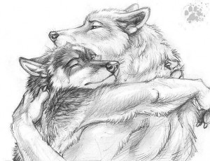 Создать мем: рисунок волка, волки пары, волк и волчица рисунок