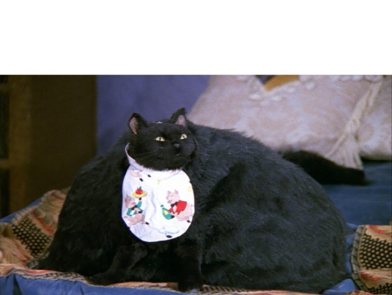 Создать мем: салем, кот из сабрины, черный толстый кот