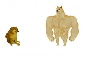 Создать мем: doge, мускулистая собака, doge meme качок