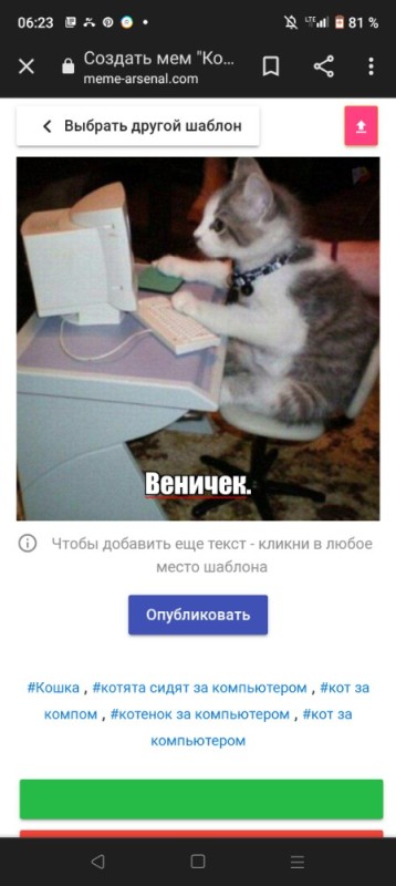 Создать мем: кот играющий за компом, кошка за компьютером, котик за компьютером