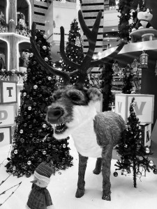 Create meme: Christmas, Christmas tree, Christmas dog