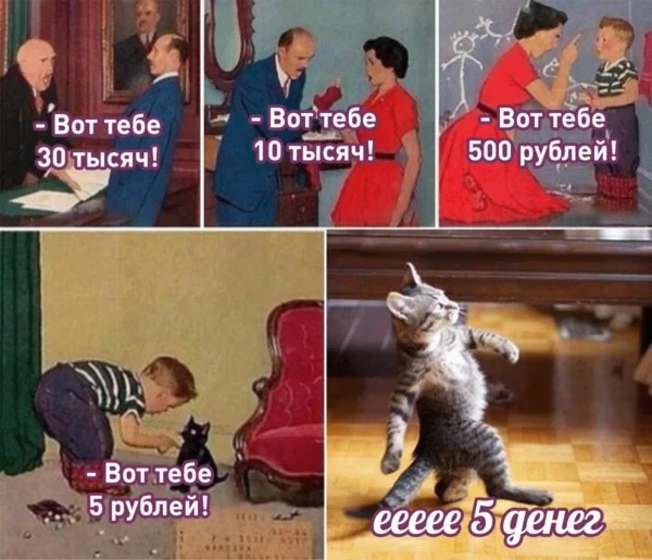 Create meme: cats , funny memes , cat 