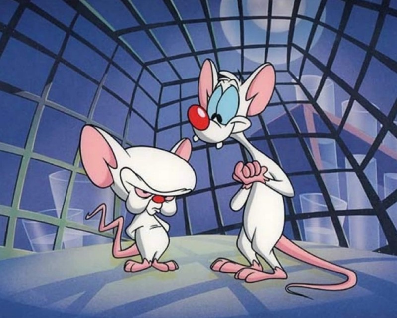 Create meme: pinky and brain meme, cartoon mice pinky and brain, cartoon pinky and brain