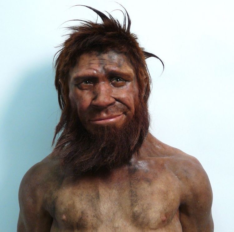 Создать мем: реконструкция неандертальца, современные неандертальцы, древние люди неандертальцы