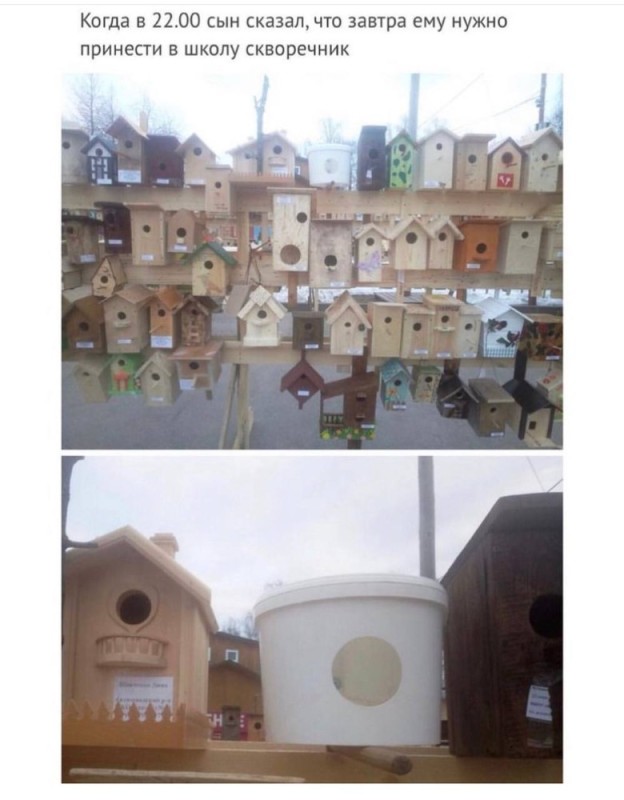 Create meme: birdhouses competition, birdhouse for birds, birdhouse owl