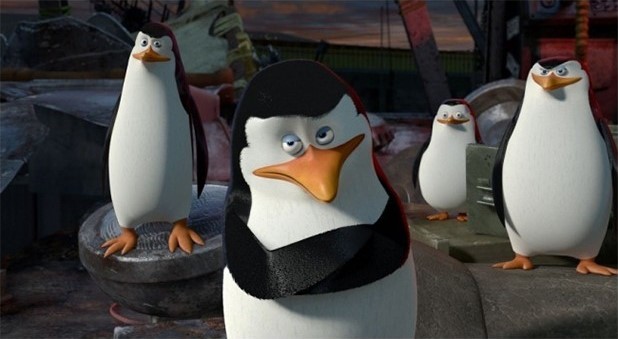 Создать мем: пингвины мадагаскара 2, пингвины из мадагаскара, пингвины из мадагаскара рико