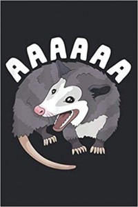 Create meme: possum