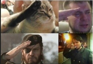 Create meme: salute, cat salutes meme, meme all salute
