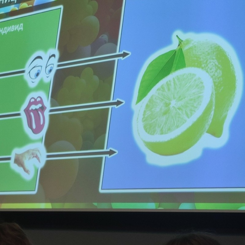 Create meme: lemon lime, slice of lime, juicy lime