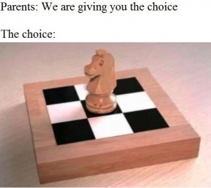 Create meme: figures of chess, chess piece horse, chess