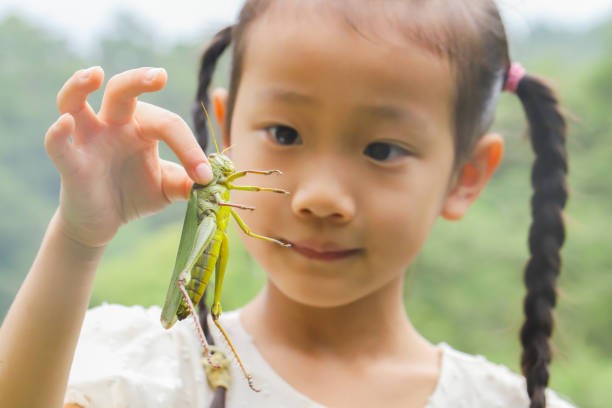 Create meme: grasshopper , giant grasshopper, the mantis is big