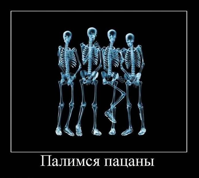 Create meme: x-ray of the skeleton, skeleton , cool x-ray