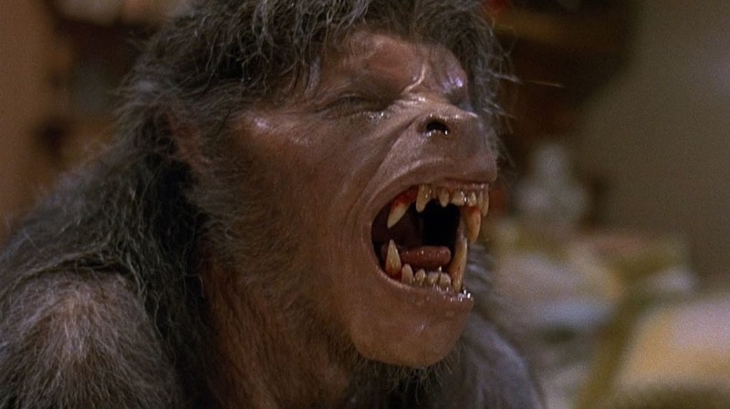 Create meme: An American werewolf in london 1981, an american werewolf in london, a frame from the movie