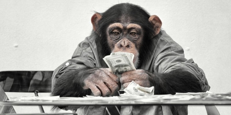 Create meme: monkey money , monkey at the table, monkey behind a computer