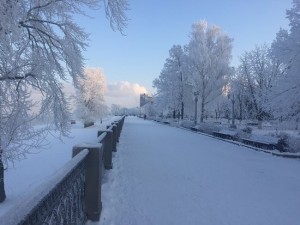 Create meme: winter landscape, winter storm, winter