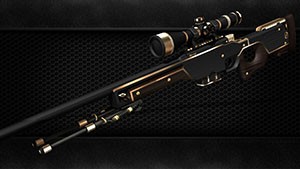 Create meme: awp, l96a1 sniper rifle, sniper awm