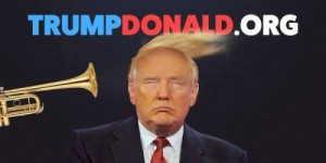 Create meme: election, billionaire, donald trump