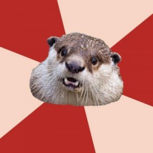Создать мем: сурок, groundhog, funny animal