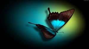 Create meme: butterfly butterfly, butterfly, blue butterfly on a black background