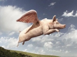 Создать мем: крылатая свинья, летающий поросёнок, летающая свинка
