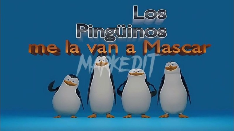 Создать мем: пингвины из мадагаскара, пингвин, рико пингвин