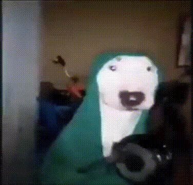Создать мем: собака в зелёном капюшоне, собака стучит зубами, собака