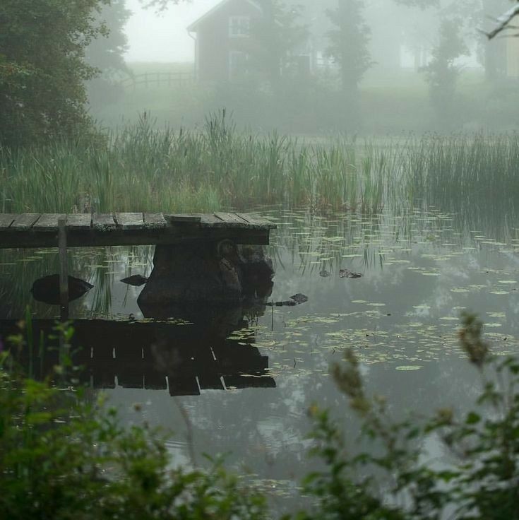 Create meme: the river in the village, nature landscape, rain in the village