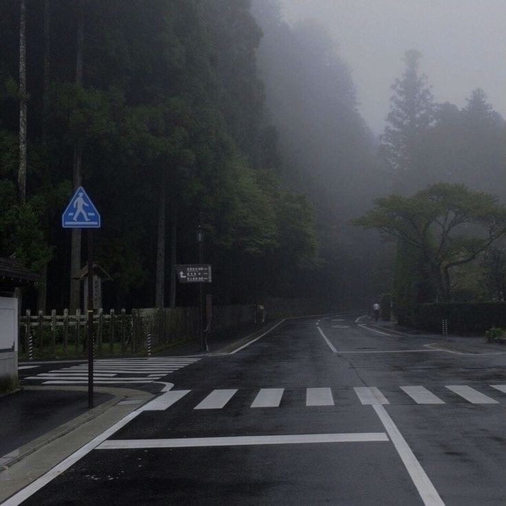 Create meme: road fog , darkness, fog nature
