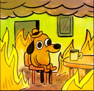 Create meme: meme this is fine fire at the table, picture a dog in a burning house, this is fine