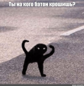 Создать мем: ъуъ съука, черный кот ъуъ, мем чёрный кот