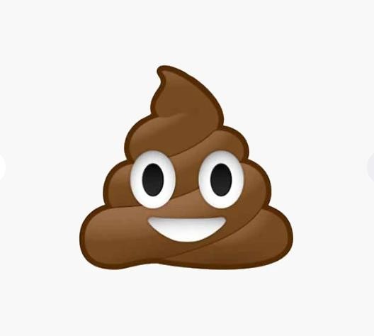 Create meme: Emoji turd, The poop smiley face, Emoji turd